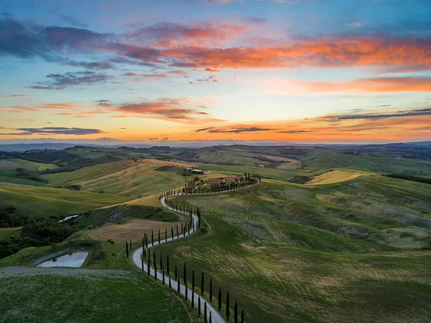 Cypressen in de heuvels van de Val d'Orcia in Toscane